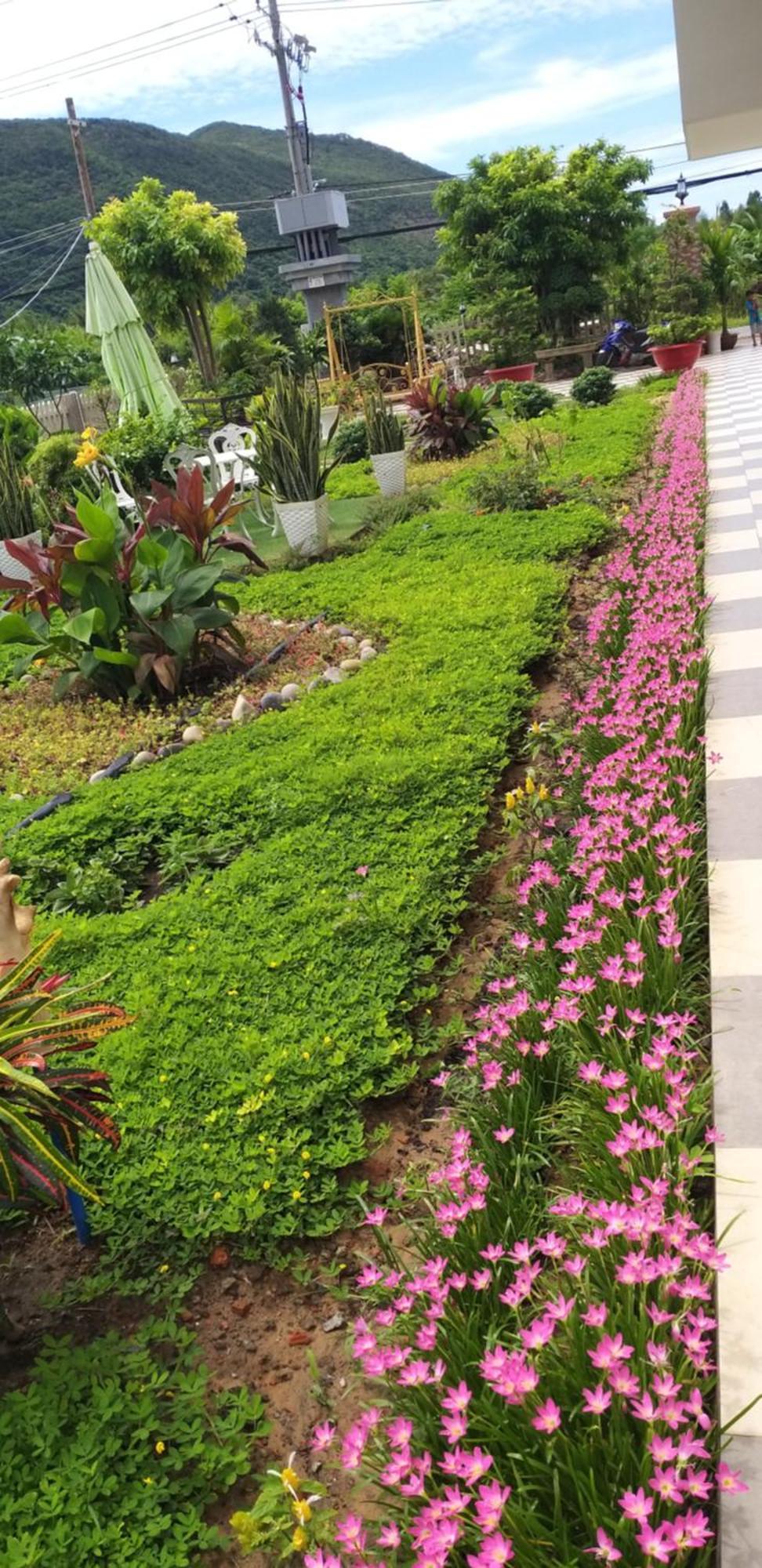 Aparthotel Garden House Côn Đảo à Chi Khu Co Ong Extérieur photo